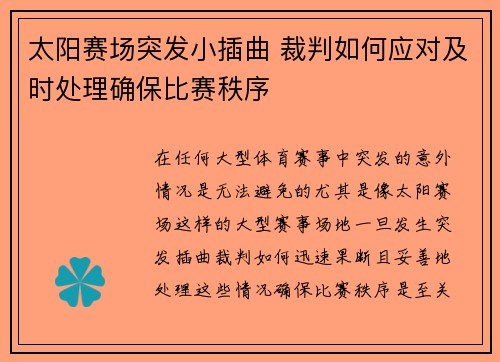 太阳赛场突发小插曲 裁判如何应对及时处理确保比赛秩序